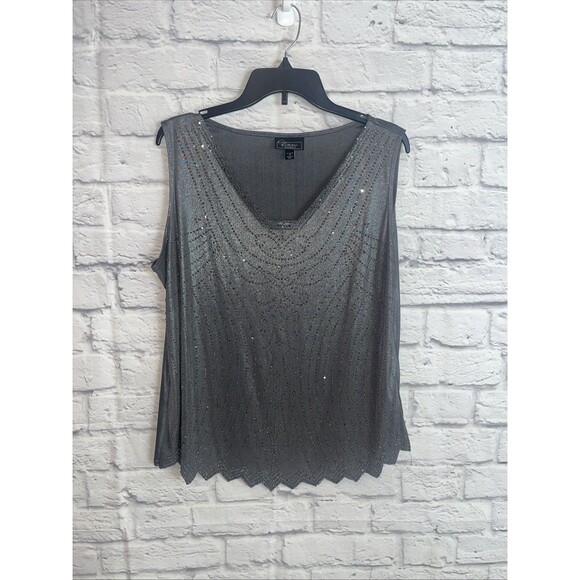 Dressbarn Collection Women’s Grey Silver Sequin Beaded Dressy Cami Top Size 1X - Picture 8 of 8